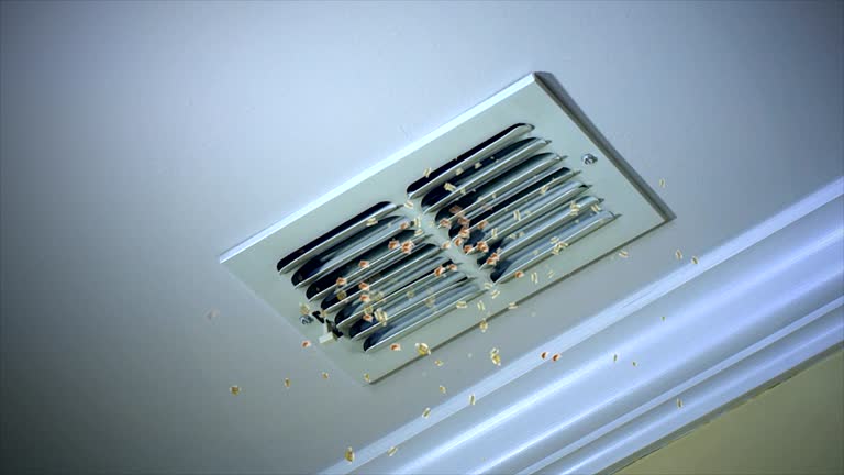 Best Dryer Vent Cleaning Services  in Boise, ID